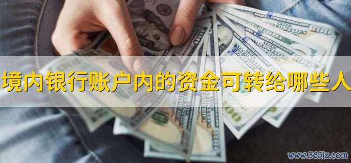 存入资金并进行购买_银行购买存款资金_以银行存款购入交易性金融资产